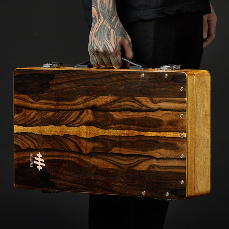 Holzkiste Trommel Professionel – Diy Electronics Projects For Adults Bewertung und Preis