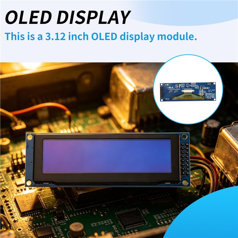 3,12 Zoll OLED-Display 256X64  – Oled Display Module Bewertung und Preis